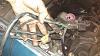 Wiring Harness Help-wiring2.jpg