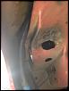 fender hatness?-image-1300986016.jpg