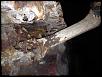 Replacing fuel hard lines; drop rear subframe?-photo-4-2-.jpg