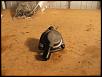 Need a little bit of help. (Idiot here)-image-899610572.jpg