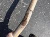 Rusted out HKS Sport and temporay replacement.-hks-rusted-bend.jpg