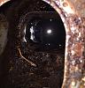 I'm back, and I have a technical question! Fuel tank cleaning.-image.jpg