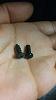 Steering column cover screws-20160329_104356.jpg