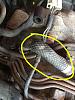 Another Emissions Delete/Vaccum line Q Thread.-image-672804873.jpg
