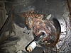 Rear-subframe mount - hidden Rust area that's not readily Visible-img_20170215_191421.jpg