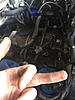 S4 Primary Fuel Rail On S5?-photo624.jpg