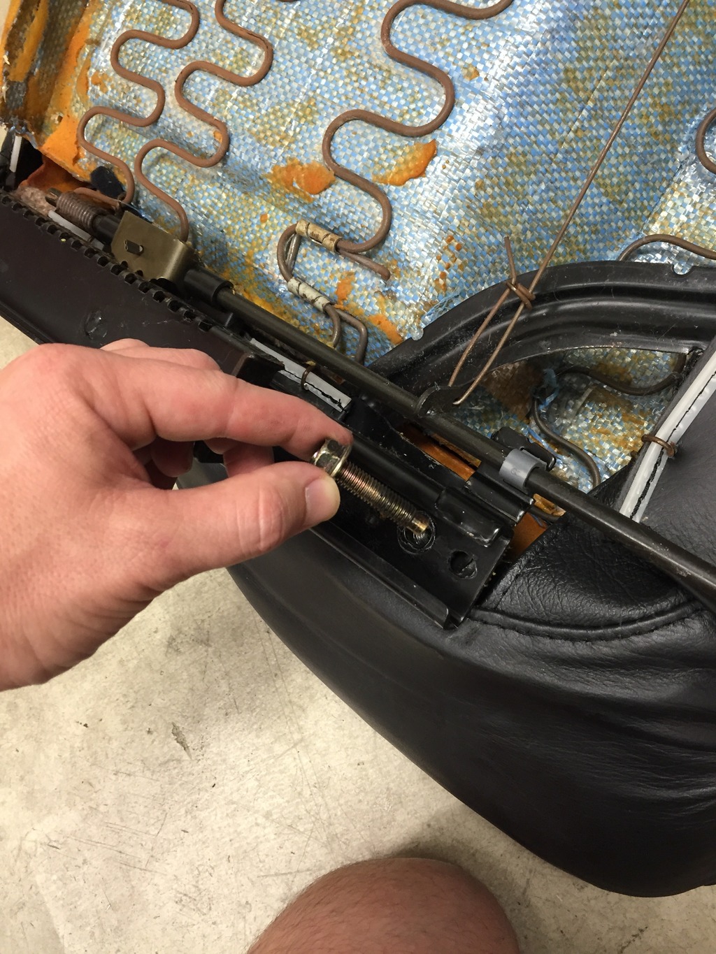 Name:  7E1BE318-52EE-4F1D-982F-615EAAE3405E_zpszbglqzh7.jpg
Views: 1340
Size:  433.1 KB