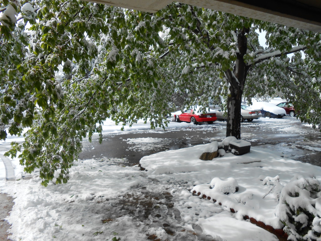 Name:  GTU488.jpg
Views: 64
Size:  378.3 KB