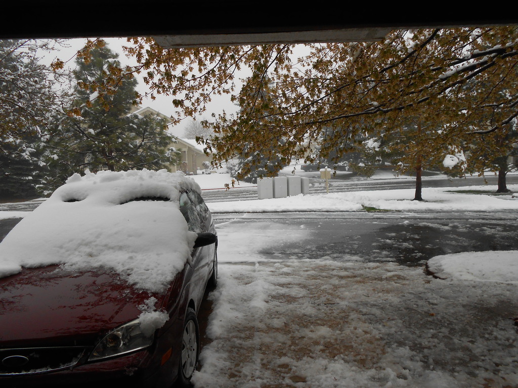 Name:  GTU439.jpg
Views: 70
Size:  357.3 KB