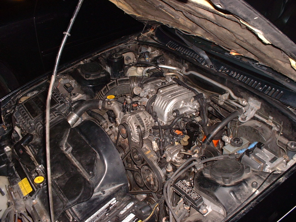Name:  stockengine.jpg
Views: 67
Size:  289.8 KB