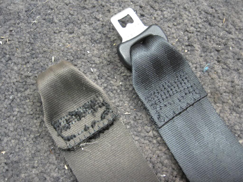 Name:  IMG_2247_zps6100af54.jpg
Views: 776
Size:  159.5 KB