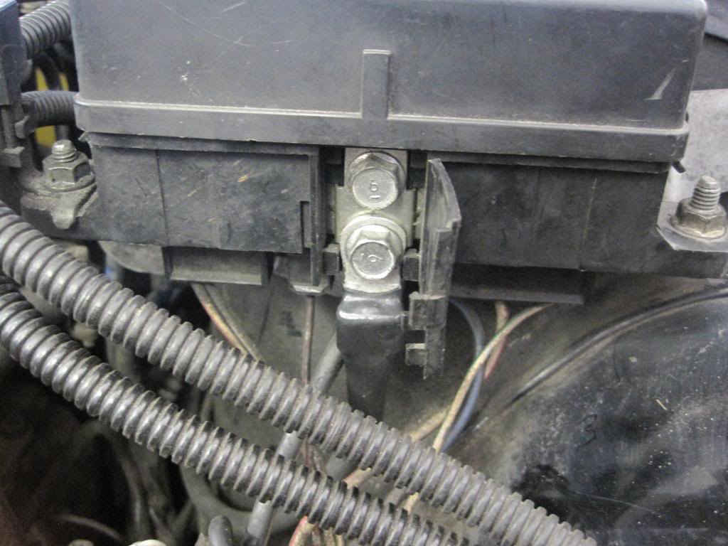 Name:  IMG_2207_zps84e7a451.jpg
Views: 794
Size:  98.9 KB