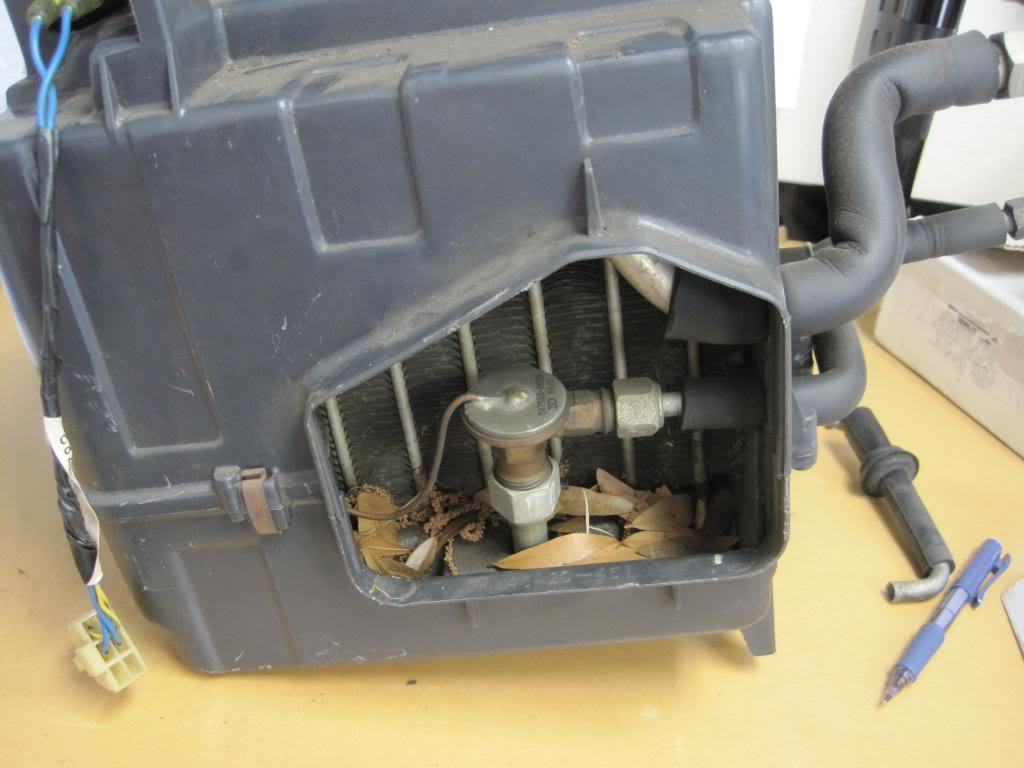 Name:  IMG_2145_zps16bc128f.jpg
Views: 790
Size:  67.1 KB