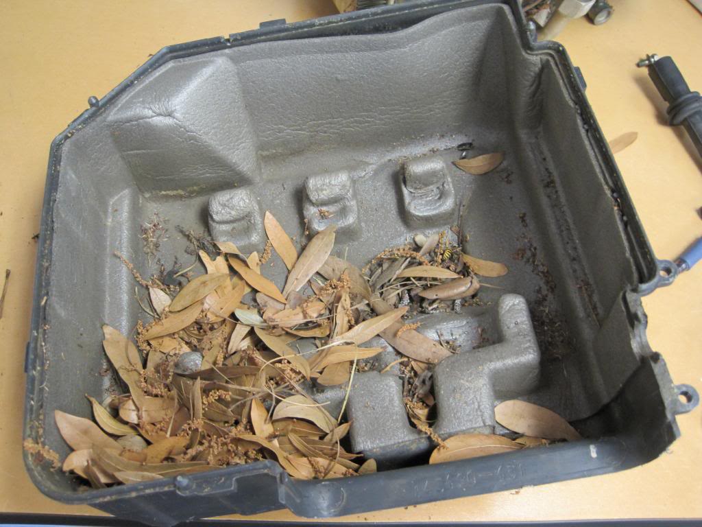 Name:  IMG_2146_zps3dc3b090.jpg
Views: 754
Size:  107.3 KB