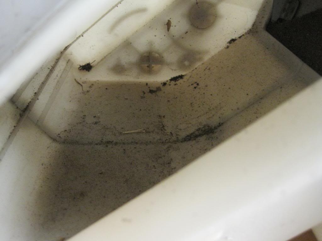 Name:  IMG_2125_zps5b7fbd46.jpg
Views: 780
Size:  51.8 KB