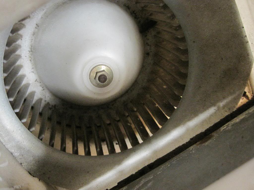 Name:  IMG_2107_zps3cf0cd01.jpg
Views: 629
Size:  77.0 KB