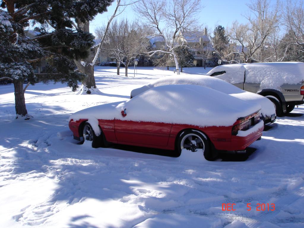 Name: Pampered_zpsc47dfe8a.jpg
Views: 140
Size: 123.3 KB