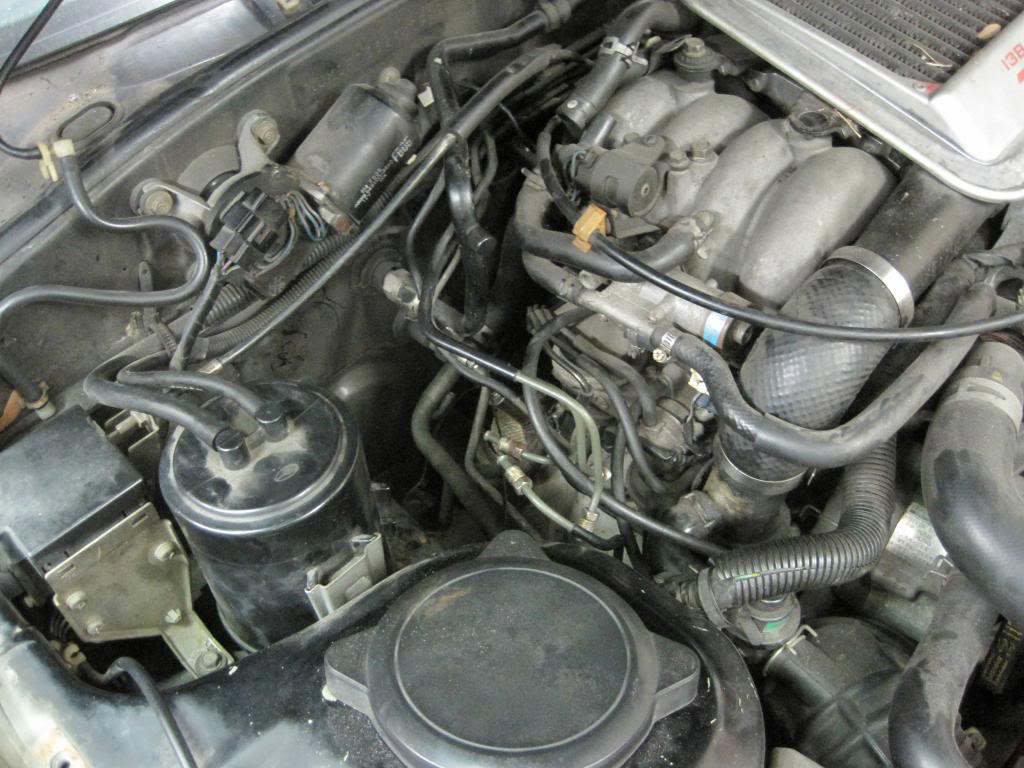 Name:  IMG_2075_zps5c656d19.jpg
Views: 645
Size:  117.7 KB