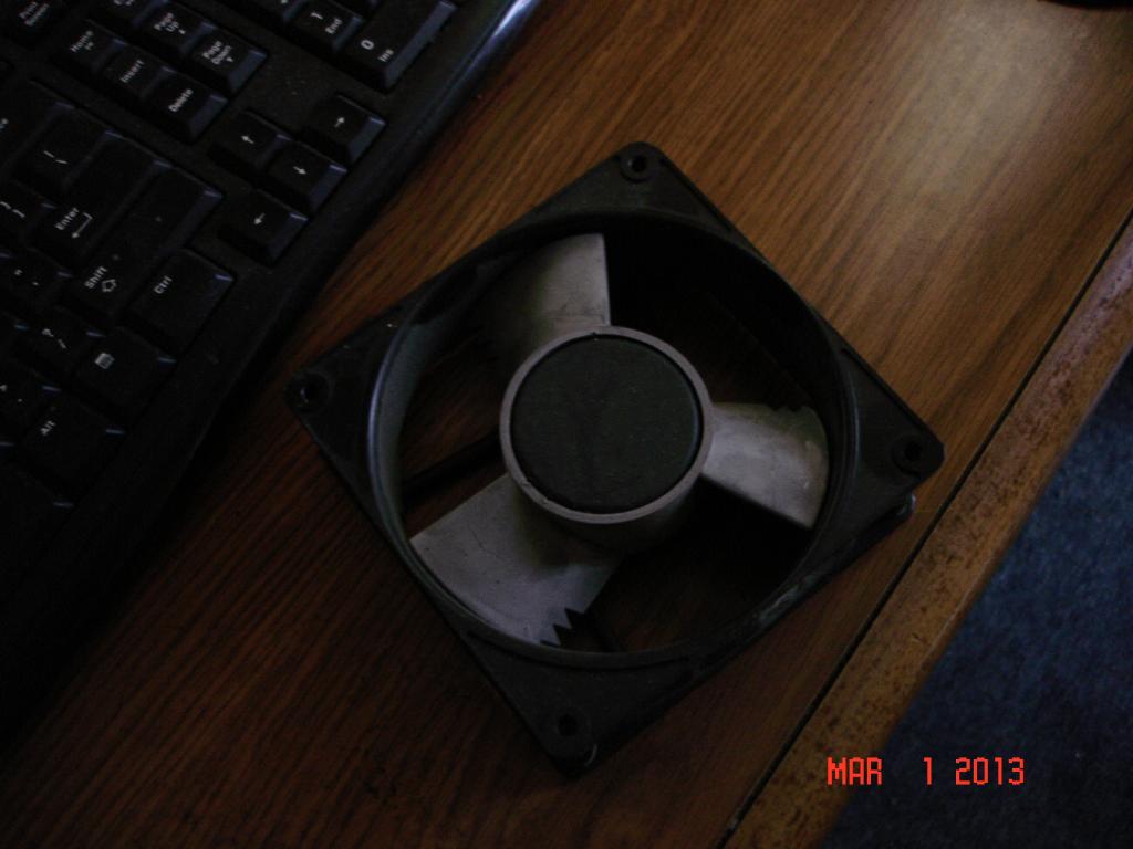 Name:  Muffin2_zps51f5796d.jpg
Views: 131
Size:  61.7 KB