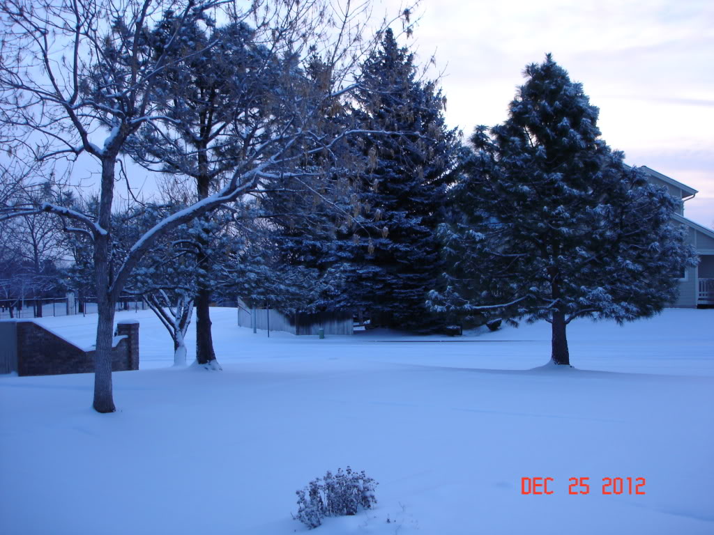 Name:  GTU286.jpg
Views: 201
Size:  165.7 KB