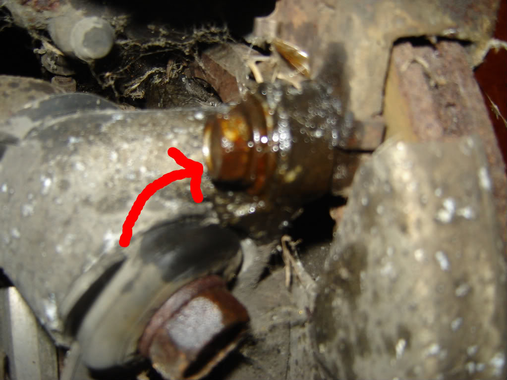 Name:  DSC01727.jpg
Views: 2690
Size:  99.1 KB