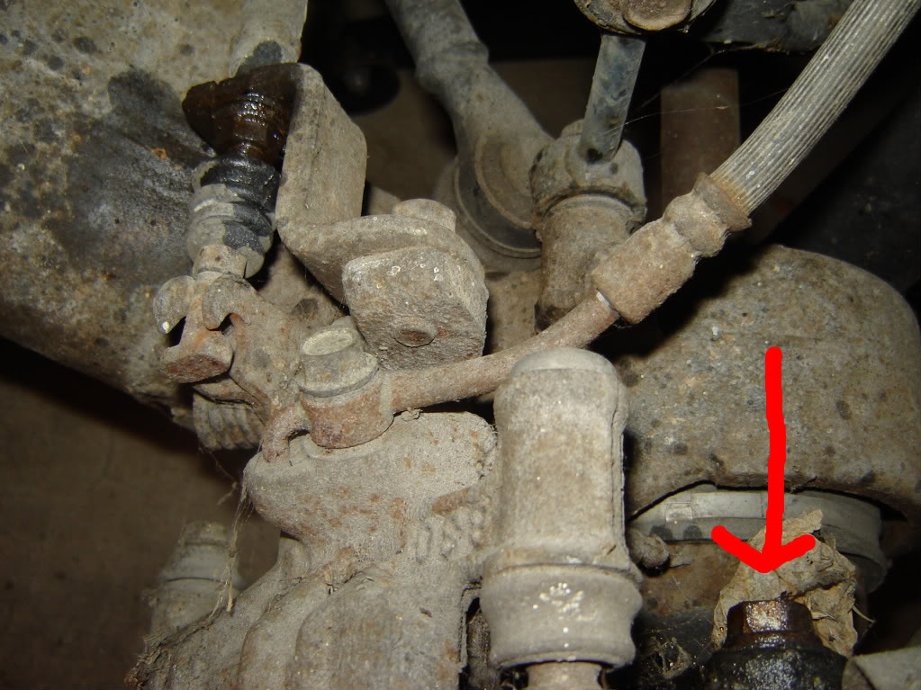 Name:  DSC01725.jpg
Views: 2760
Size:  160.8 KB