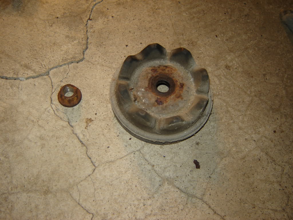 Name:  DSC01731.jpg
Views: 2654
Size:  142.4 KB