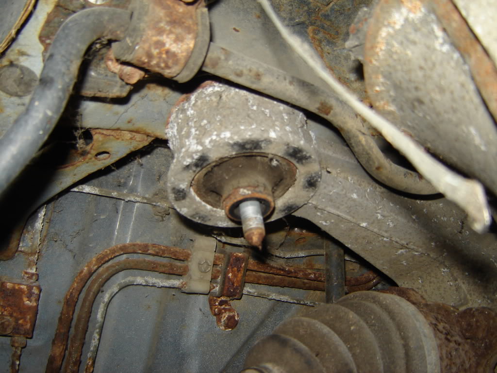 Name:  DSC01732.jpg
Views: 2733
Size:  119.9 KB