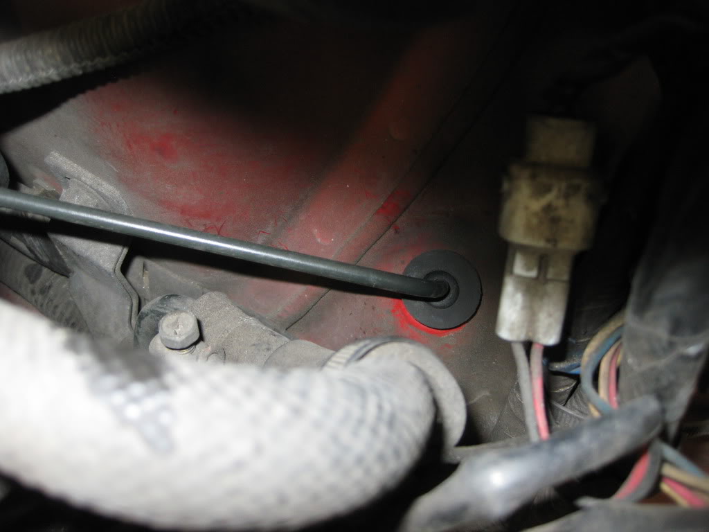 Name:  IMG_2423.jpg
Views: 2363
Size:  65.8 KB