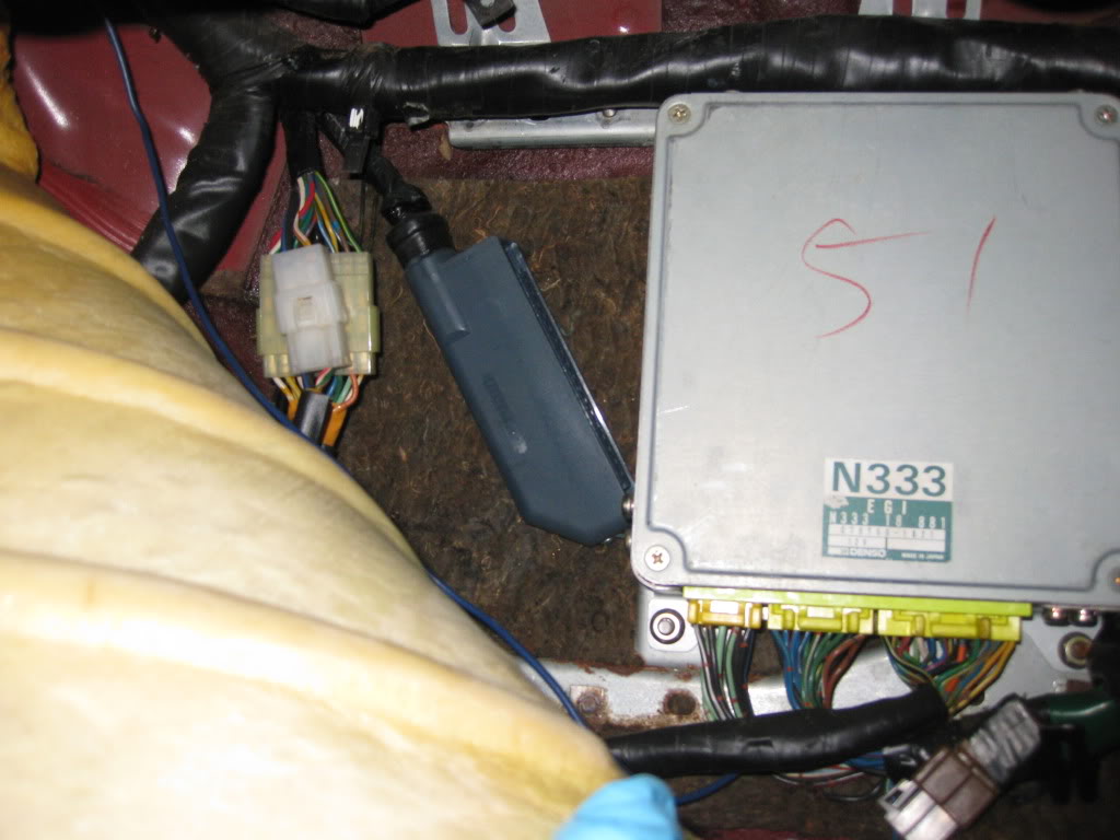 Name:  IMG_2465.jpg
Views: 2491
Size:  89.0 KB