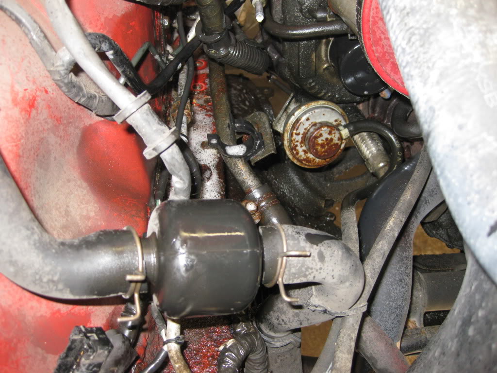 Name:  IMG_2439.jpg
Views: 2502
Size:  153.0 KB