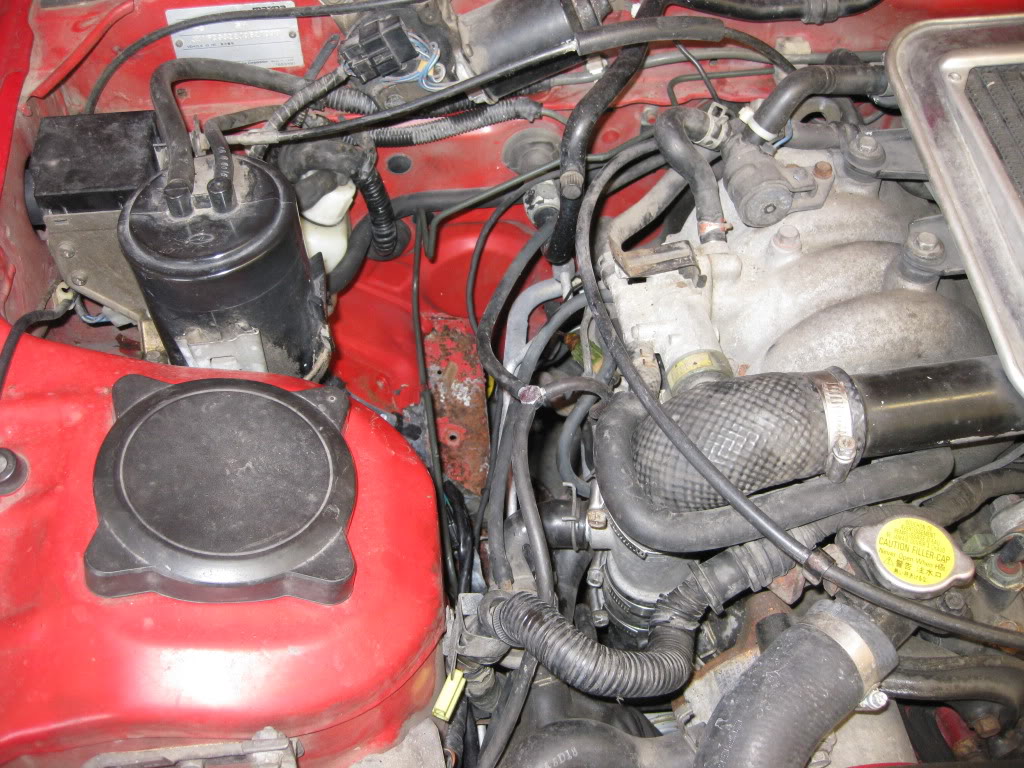 Name:  IMG_2445.jpg
Views: 2403
Size:  180.9 KB