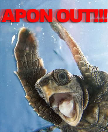 Name:  national-geographic-turtlecopy.jpg
Views: 455
Size:  37.1 KB