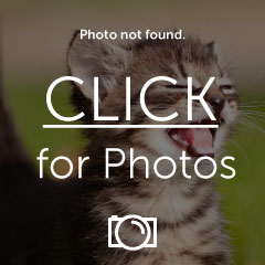 Name: IMG_20110429_191008.jpg
Views: 1063
Size: 14.0 KB
