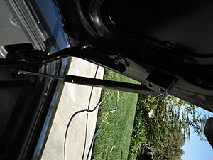 Aftermarket Trunk Struts/Shocks Available? Where?-083.jpg