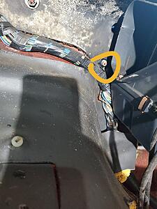Removing Front Harness-acspagh.jpg