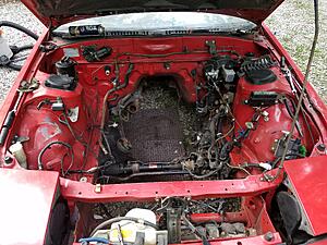 Engine bay harness pic request-rctrnxj.jpg