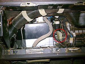 What the heck is this?!-pa5lz.jpg