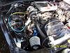 lets see some engine bay pics.....-picture-424r.jpg