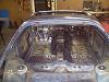 Pics of FC's-inside%2520gut.jpg