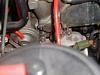 S5 TII cat question-image001.jpg