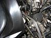 Anyone Want To Help?-img_0366-large-.jpg