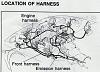 ECU Questions-harness3.jpg