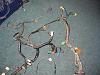 S5 wiring nightmere- Pictures and questions-img_3648.jpg