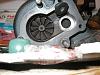 Pics of my engine assembly so far-engineturbo-008.jpg