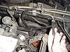 Lost hose!-lost-hose-1.jpg