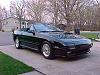 Lets see those front lips!!!-driveway-vert-3.jpg