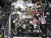 Spark-img_2326.jpg