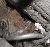 Things I Cant Figure Out On My Car-wire-2.jpg