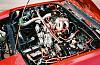 Post a pic of your FC-engine-bay-pic-2.jpg